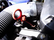 �I�C���܂�